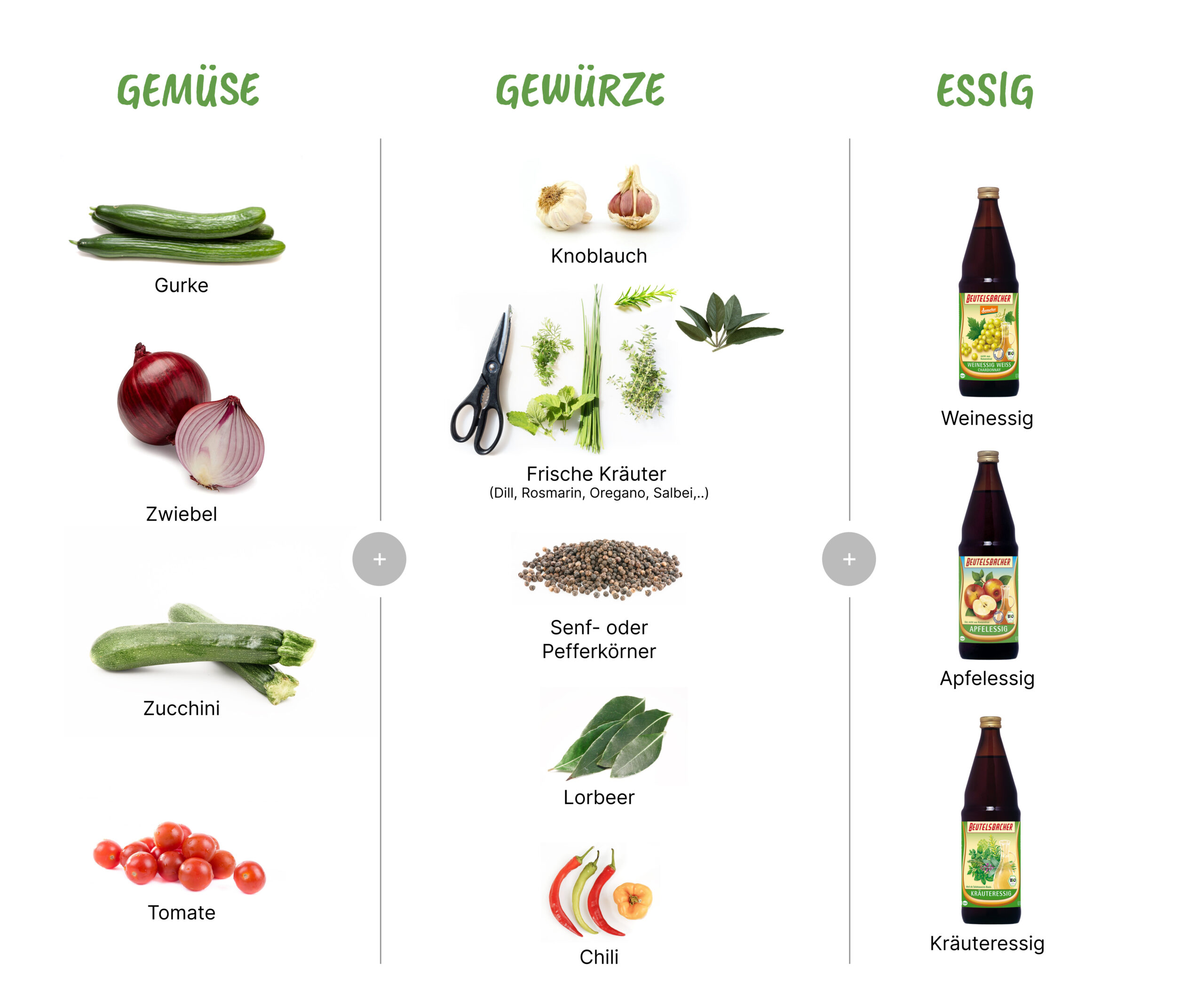 essigeinlegbaukasten