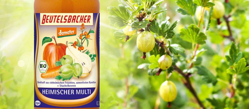 Heimischer Multi samenfeste Karotten Stachelbeere Demeter Direktsaft